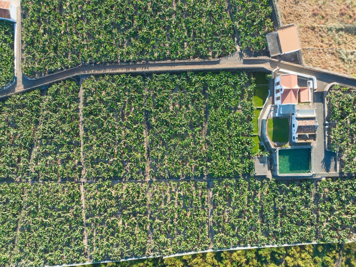 Hacienda Los Orovales Puerto de la Cruz  Eksteriør bilde
