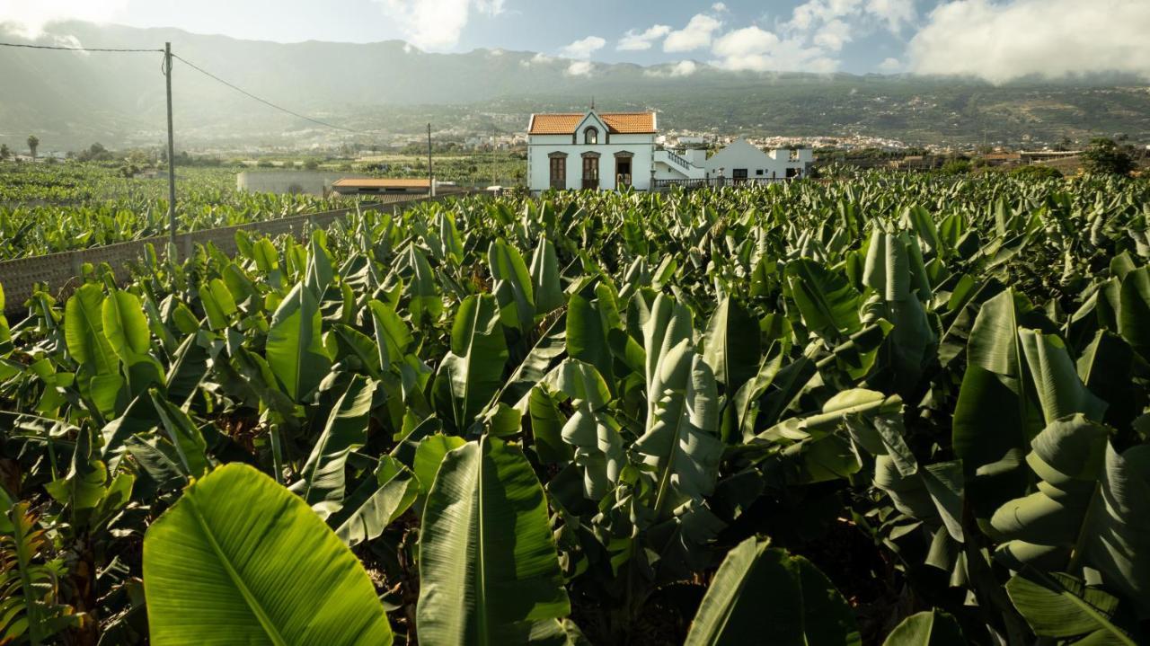 Hacienda Los Orovales Puerto de la Cruz  Eksteriør bilde