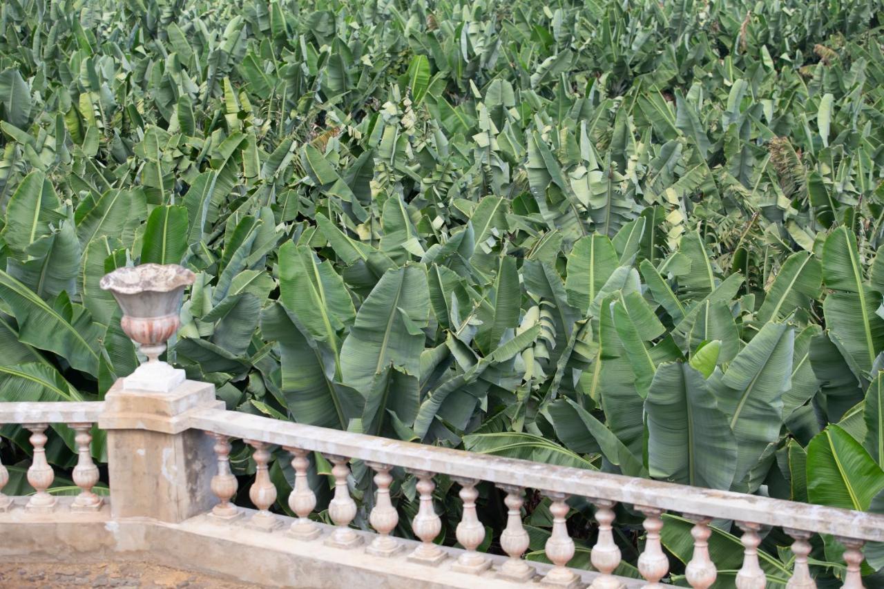 Hacienda Los Orovales Puerto de la Cruz  Eksteriør bilde