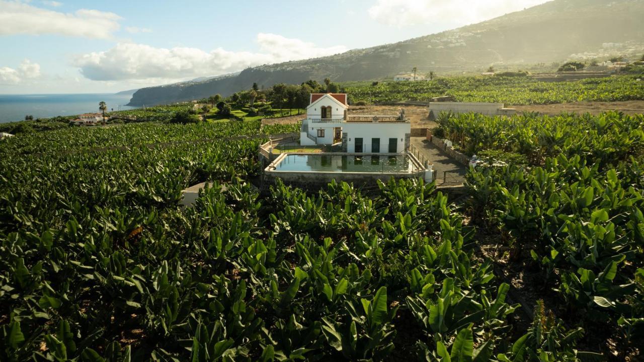 Hacienda Los Orovales Puerto de la Cruz  Eksteriør bilde