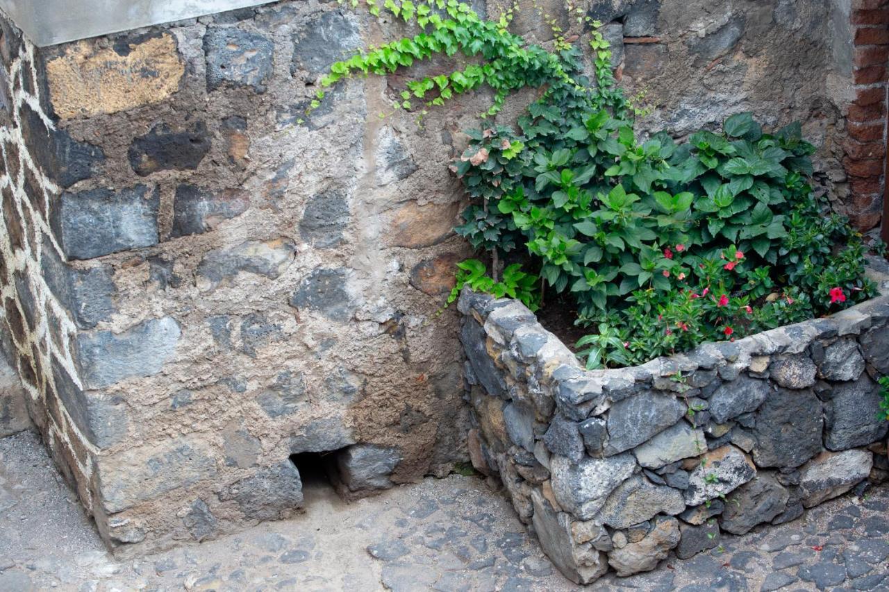 Hacienda Los Orovales Puerto de la Cruz  Eksteriør bilde